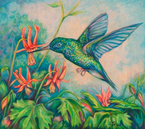Hummingbird (1)